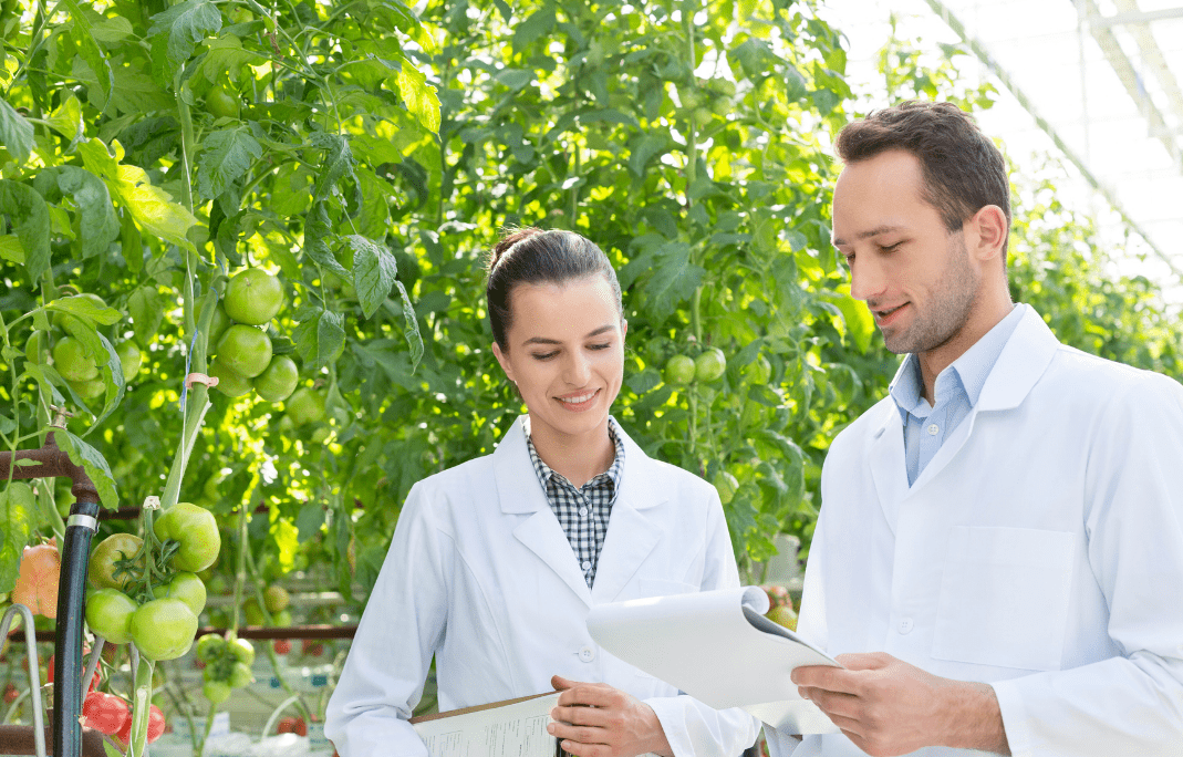 Akademi Düzenlenmiş