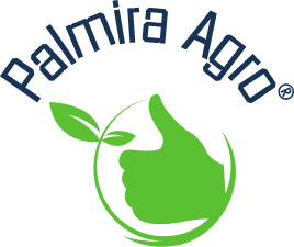 Palmira 268
