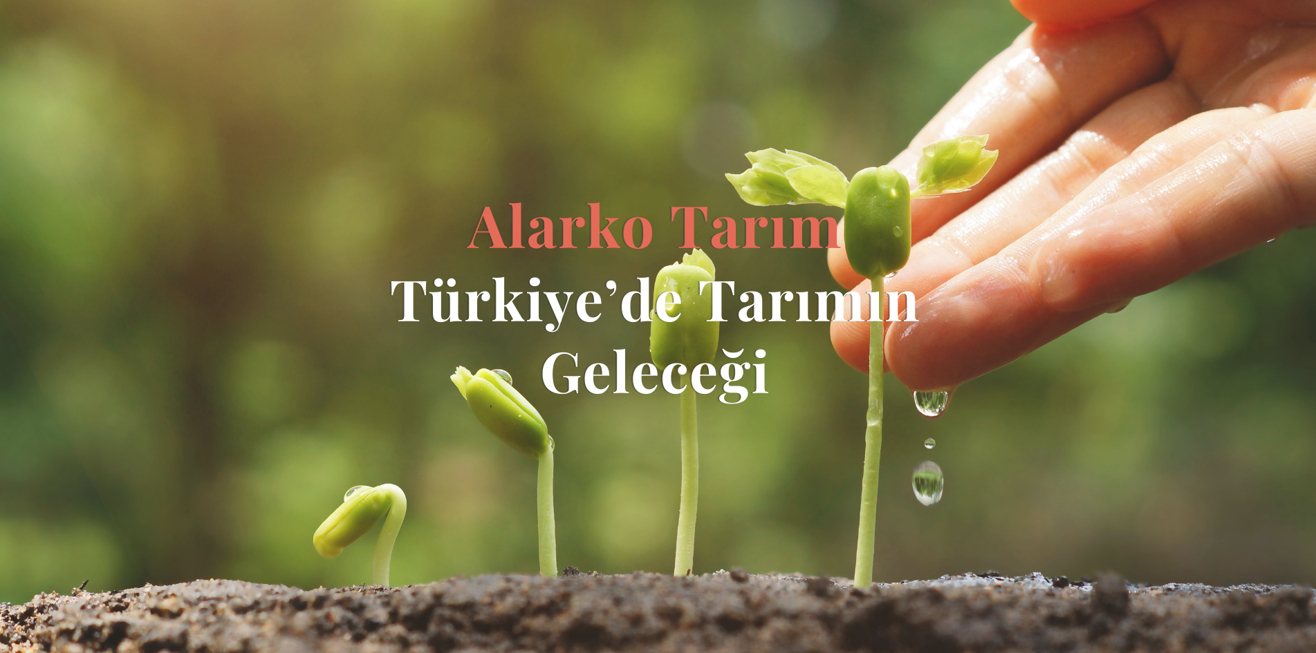 Kapak 1920 X 1080 (3)