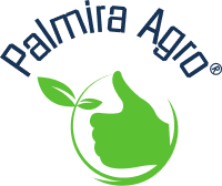 Palmira 200